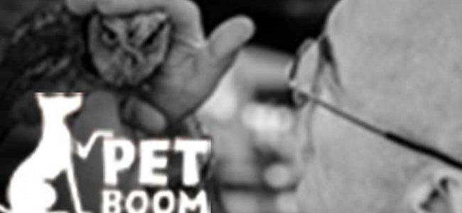 Pet Boom - Angelo Nery - Quer falar de que